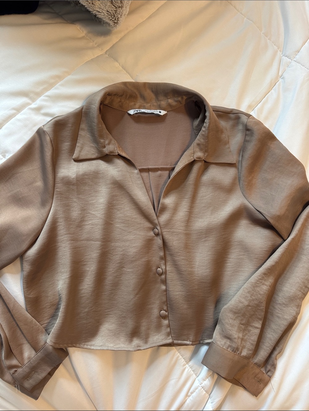 Zara Taupe Cropped Button-Front Collared Blouse